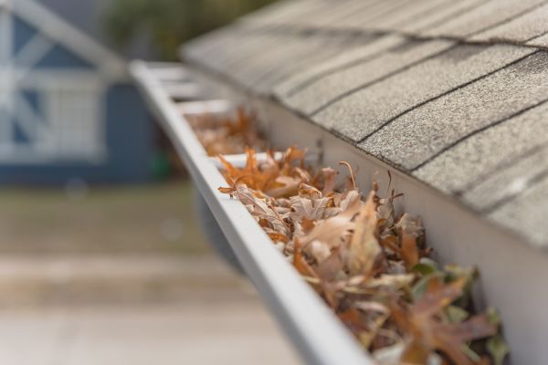 Leaf Barrier Installation in Irmo